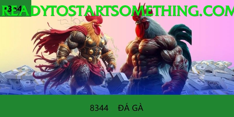 Đá Gà Trực Tiếp - Trải nghiệm tuyệt vời